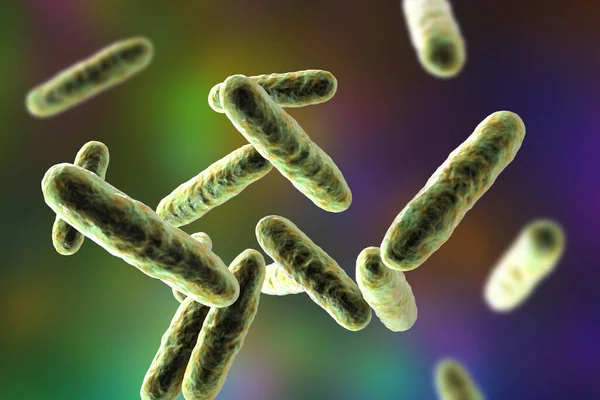 Bacteriën Eikenella Corrodeert Illustratie Eikenella Een Normale Biota Van Mondholte — Stockfoto