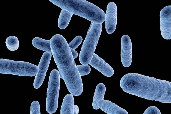 Bacterias Eikenella Corroe Ilustración Eikenella Una Biota Normal Cavidad Oral — Foto de Stock