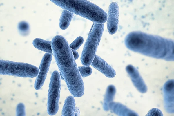 Βακτήρια Eikenella Διαβρωτικά Τρισδιάστατη Απεικόνιση Eikenella Είναι Ένας Φυσιολογικός Βίος — Φωτογραφία Αρχείου