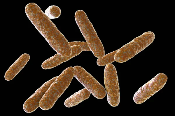 Bacteriën Eikenella Corrodeert Illustratie Eikenella Een Normale Biota Van Mondholte — Stockfoto