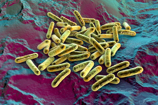 Morganella Morganii细菌 3D插图 生活在人类肠道中的革兰氏阴性细菌 会导致术后和院内感染 尿道感染 — 图库照片