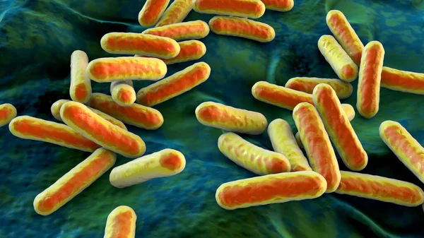 モルガネラ菌 3Dイラスト ヒト腸に生息し 術後および非社会的感染症を引き起こすグラム陰性菌 尿路感染症 — ストック写真