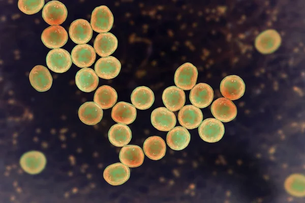 Bakterie Rezistentní Meticilin Staphylococcus Aureus Mrsa Multirezistentní Bakterie Ilustrace — Stock fotografie