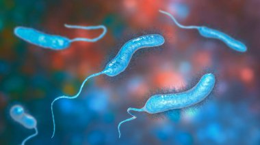 Vibrio micus bakterisi, 3 boyutlu illüstrasyon. V cholerae 'yi taklit eden ve balıkların, çiğ istiridyelerin, kaplumbağa yumurtalarının, karideslerin ve diğer deniz ürünlerinin mide iltihabına yol açan vibriyo türleri.
