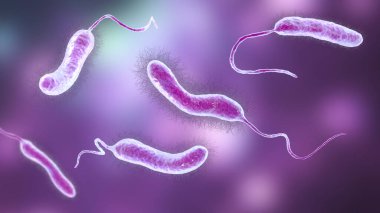 Vibrio micus bakterisi, 3 boyutlu illüstrasyon. V cholerae 'yi taklit eden ve balıkların, çiğ istiridyelerin, kaplumbağa yumurtalarının, karideslerin ve diğer deniz ürünlerinin mide iltihabına yol açan vibriyo türleri.