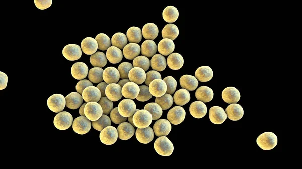Bactéries Staphylococcus Aureus Sarm Résistant Méthicilline Bactéries Multirésistantes Illustration — Photo