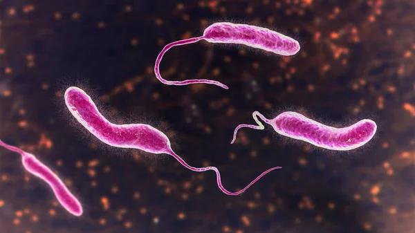 Vibrio Mimicus Βακτήρια Εικονογράφηση Είδη Vibrio Που Μιμούνται Cholerae Και — Φωτογραφία Αρχείου
