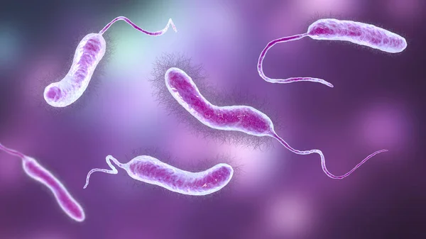 Vibrio Mimicus Bacteria Ilustración Especie Vibrio Que Imita Cholerae Causa — Foto de Stock