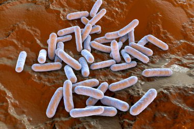 Morganella morganii bakterisi, 3 boyutlu illüstrasyon. Gram negatif bakteriler insan bağırsağında yaşar ve ameliyat sonrası ve burun enfeksiyonlarına, idrar yolu enfeksiyonlarına neden olur.