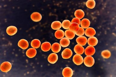 Bakterilere karşı metisiline dayanıklı Staphylococcus aureus MRSA, ilaca dirençli bakteri, 3D illüstrasyon