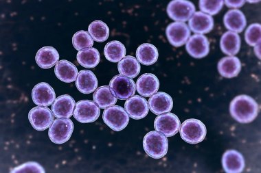 Bacteria methicillin-resistant Staphylococcus aureus MRSA, multidrug resistant bacteria, 3D illustration clipart