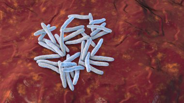 Tüberkülozun nedensel maddesi olan Mycobacterium tuberculosis, 3 boyutlu illüstrasyon M. leprae, M. avium kompleksi ve diğer micobakteriler için kullanılabilir.