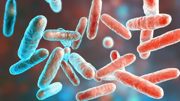박테리아에 이케넬라 에이케 넬라는 정상적 생물로서 사람에게 감염을 일으키며 치주염 — 스톡 사진
