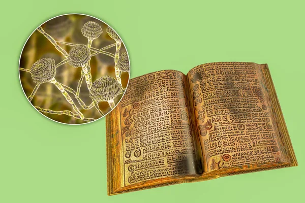 Малюнок Старих Книгах Концептуальна Ілюстрація Відкрита Старовинна Книга Чорною Пліснявою — стокове фото