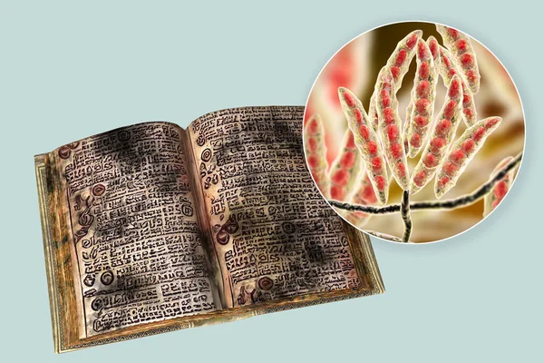 在旧书中塑造 概念上的3D图解 翻开古籍 书页上印着霉菌 是旧书中常见的微型霉菌 — 图库照片