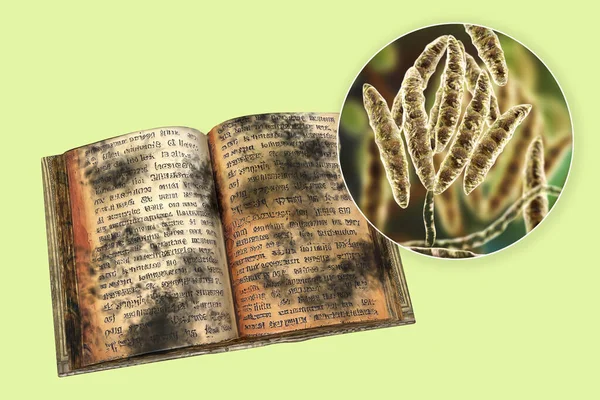 Penész Régi Könyvekben Konceptuális Illusztráció Nyílt Antik Könyv Penész Oldalain — Stock Fotó