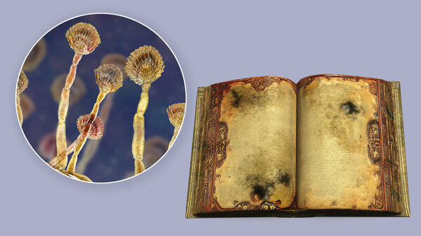 Mold in old books, conceptual 3D illustration. Open antique book with black mold on its pages and close-up view of mold fungi Aspergillus, the most common microscopic fungus found in old books