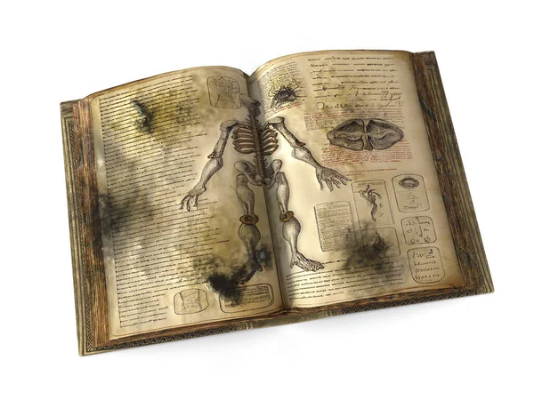 Цвіль Старих Книгах Концептуальна Ілюстрація Відкрита Антикварна Книга Абстрактними Медичними — стокове фото