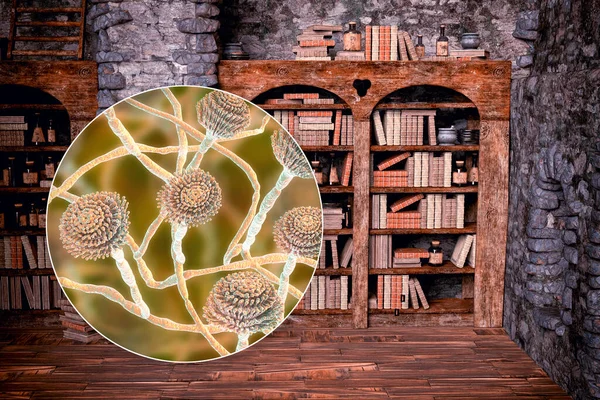 Mold in old books, conceptual 3D illustration. Antique books in an old book case, and close-up view of mold fungi Aspergillus, the most common microscopic fungus found in old books