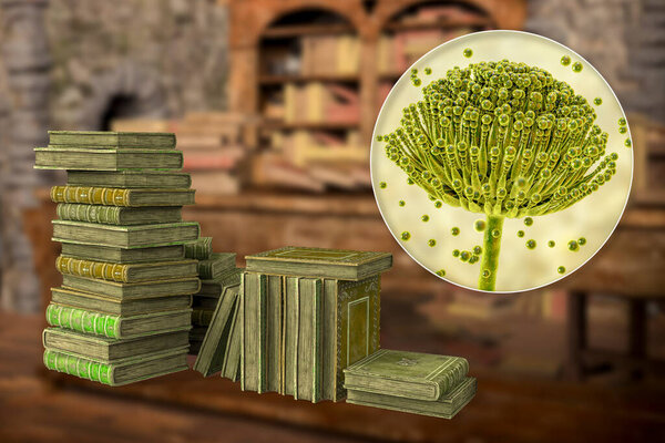 Mold in old books, conceptual 3D illustration. Antique books and close-up view of mold fungi Aspergillus, the most common microscopic fungus found in old books