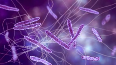 Bakteri Mycobacterium bovis, 3 boyutlu illüstrasyon. Sığırlardaki tüberkülozun sebebi BCG aşısının insanlardaki tüberküloza karşı atasıdır.