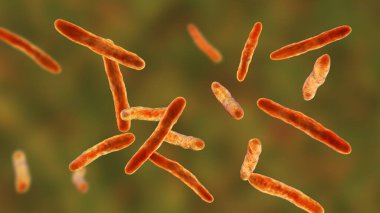 Bakteri Mycobacterium bovis, 3 boyutlu illüstrasyon. Sığırlardaki tüberkülozun sebebi BCG aşısının insanlardaki tüberküloza karşı atasıdır.