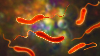 Vibrio micus bakterisi, 3 boyutlu illüstrasyon. V cholerae 'yi taklit eden ve balıkların, çiğ istiridyelerin, kaplumbağa yumurtalarının, karideslerin ve diğer deniz ürünlerinin mide iltihabına yol açan vibriyo türleri.