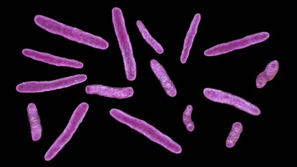 Bakterie Mycobacterium Bovis Ilustrace Příčinou Tuberkulózy Skotu Předchůdce Vakcíny Bcg — Stock fotografie