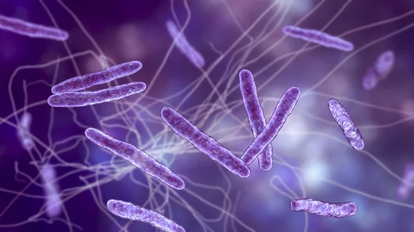Bakteri Mycobacterium Bovis Ilustrasi Penyebab Tuberkulosis Pada Ternak Adalah Leluhur — Stok Foto