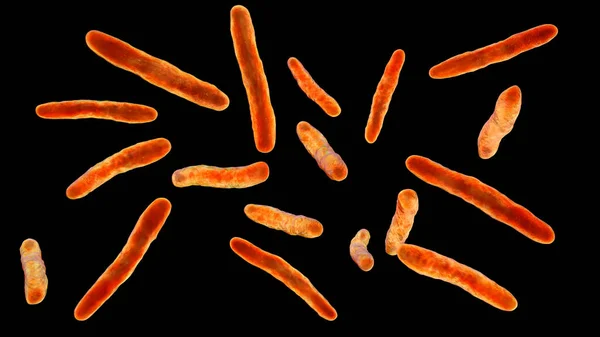 Bakteri Mycobacterium Bovis Boyutlu Illüstrasyon Sığırlardaki Tüberkülozun Sebebi Bcg Aşısının — Stok fotoğraf