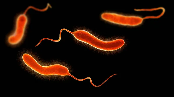 Vibrio Mimicus Bakterier Illustration Vibrioarter Som Härmar Cholerae Och Orsakar — Stockfoto