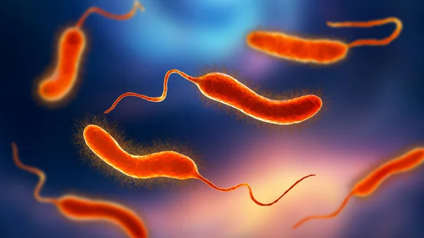 ビブリオ菌 3Dイラスト 生牡蠣 カメの卵 エビなどの水産物によって媒介される胃腸炎の原因となるコレラ菌 — ストック写真