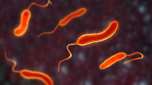 Бактерии Vibrio Mimicus Трехмерная Иллюстрация Вибрион Который Имитирует Cholerae Вызывает — стоковое фото