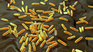 Bakteri Cardiobacterium hominis, 3 boyutlu illüstrasyon. Gram-negatif bakteri normalde ağız, burun ve boğazda bulunur ve endokardite neden olabilir..