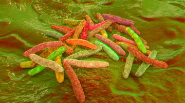 Bacteria Mycobacterium tuberculosis, the causative agent of tuberculosis, 3D illustration, can be used for M. leprae, M. avium complex and other mycobacteria clipart