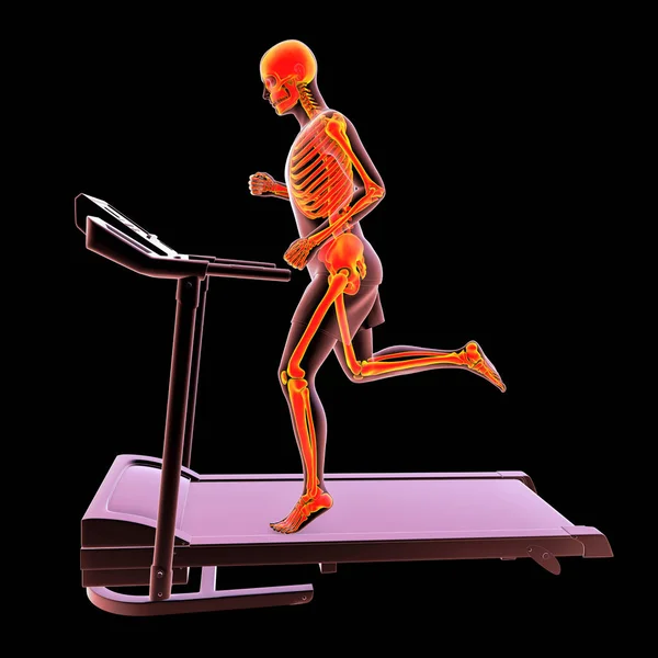 Man running on treadmill with highlighted skeleton showing skeletal activity during doing sport, 3D illustration.
