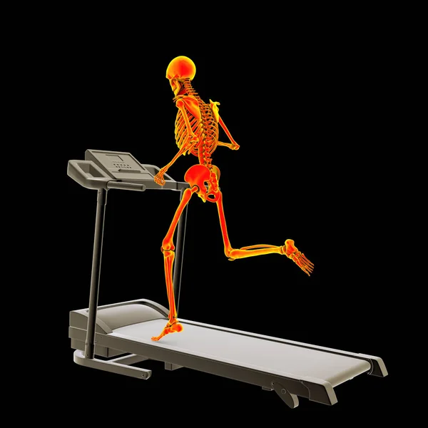 Human skeleton running on treadmill showing skeletal activity during doing sport, 3D illustration.