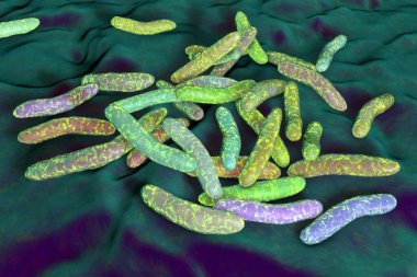 Psödoalteromonas tetraodonis bakterisi, 3 boyutlu illüstrasyon. Kirpi balığının yüzeyde yaşayan deniz bakterisi ve nörotoksin salgılayan tetrodotoksin..