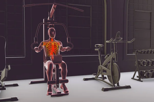 Man with highlighted skeleton training on hammer strength macine in a gym, anatomical 3D illustration. Indoor sport activity