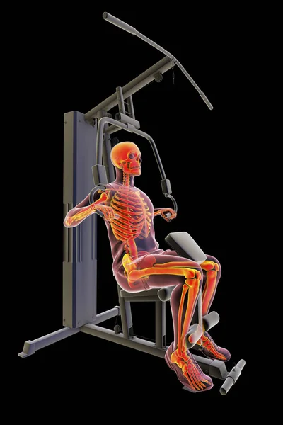 Man Highlighted Skeleton Training Hammer Strength Macine Anatomical Illustration Indoor — 스톡 사진