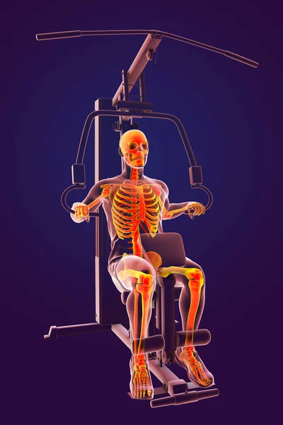 ハンマー強度マシン上の強調スケルトントレーニングを持つ男 解剖学的な3Dイラスト 屋内スポーツ活動 — ストック写真