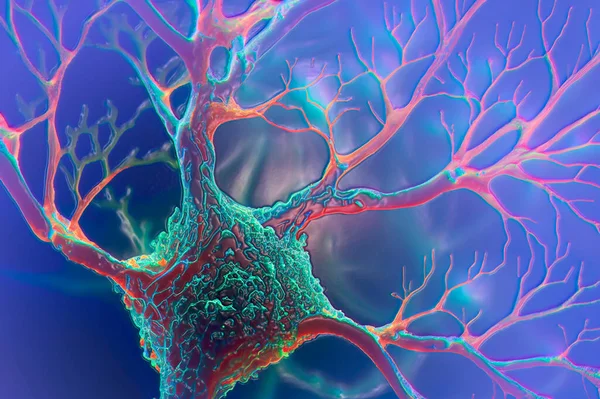 Neurons, brain cells, neural network Scientific 3D illustration