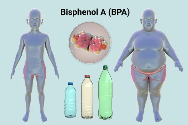 Association Plastic Compounds Obesity Conceptual Illustration Showing Bpa Molecule Present — Stock Photo, Image
