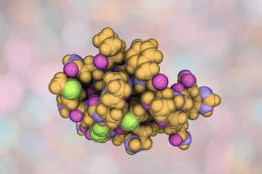 Molecule of scorpion chlorotoxin, 3D illustration. A peptide from venom of deathstalker scorpion Leiurus quinquestriatus, studied as a potential anticancer agent for treatment of brain cancer glioma