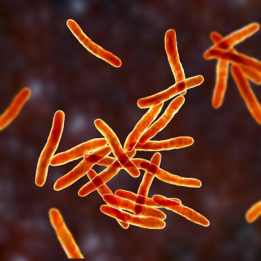Mycobacterium ulcerans, 3D illustration. The causative agent of Buruli ulcer, a chronic debilitating disease affecting skin and subcutaneous tissues found mainly in tropical and subtropical countries