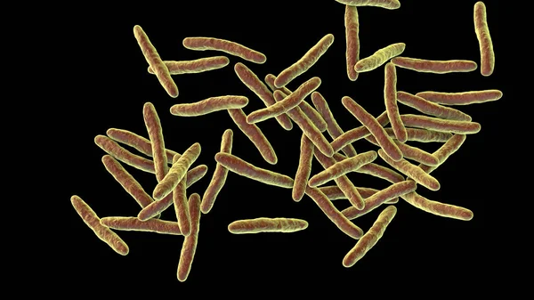 Mycobacterium ulcerans, 3D illustration. The causative agent of Buruli ulcer, a chronic debilitating disease affecting skin and subcutaneous tissues found mainly in tropical and subtropical countries