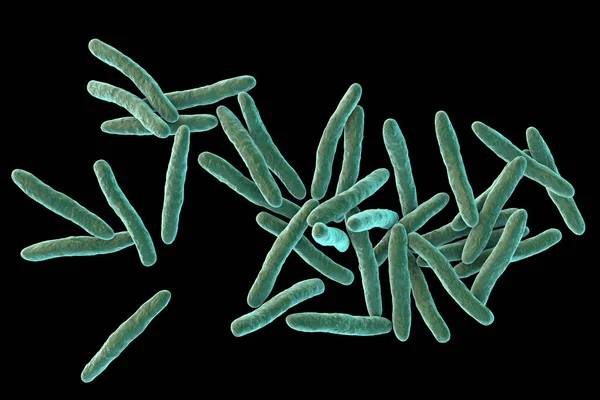 Mycobacterium Ulcerans Illustration Causative Agent Buruli Ulcer Chronic Debilitating Disease —  Fotos de Stock