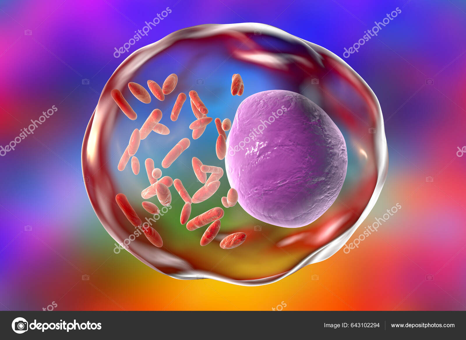 Research — Lamason Lab, image size:1600x1167