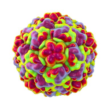 Rhinovirus isolated on white background, the virus that causes common cold and rhinitis, 3D illustration