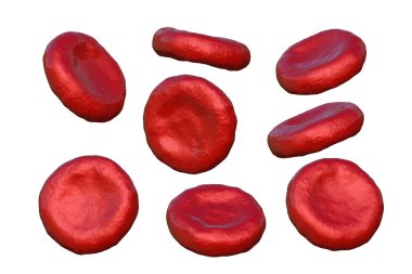 Highly detailed realistic red blood cells at different angles isolated on white background, 3D illustration